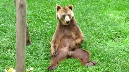 h_8c8Ud018svc4me08p7f7ld_puq08w.gif