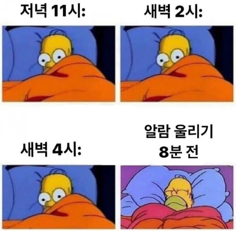 00.jpg